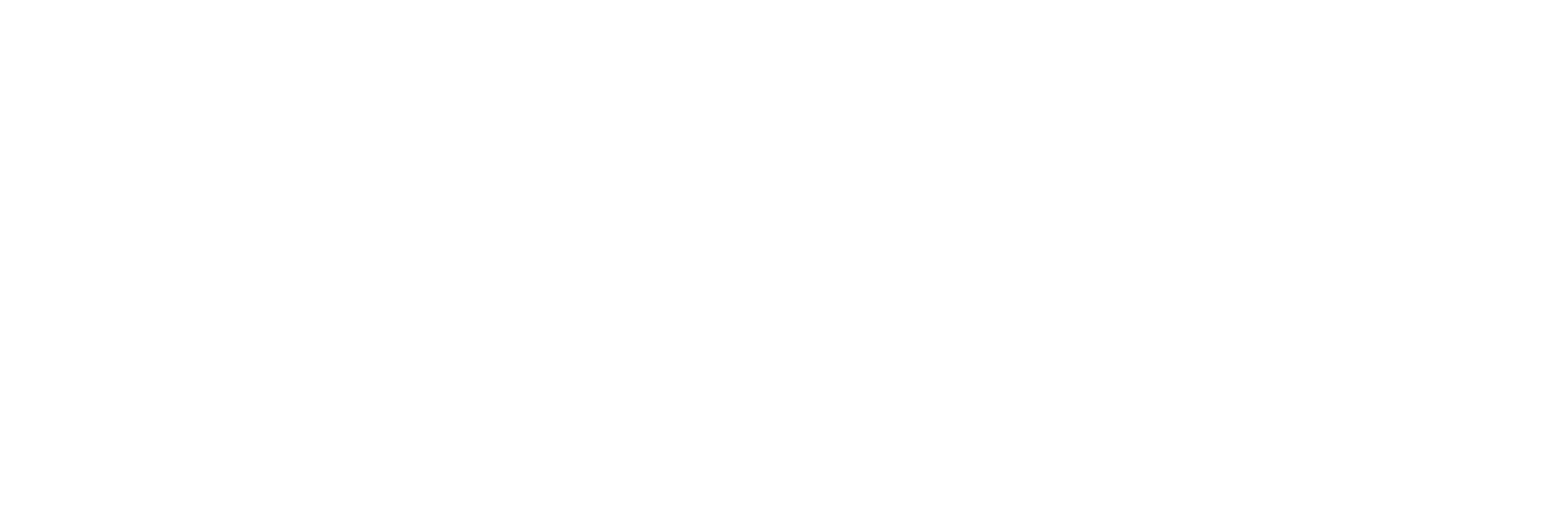 ФАЙЕР ГЛАСС СИСТЕМС